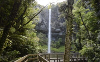 Bridal Veil Falls New Zealand