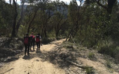 Bunyip State Park - Southern Circuit