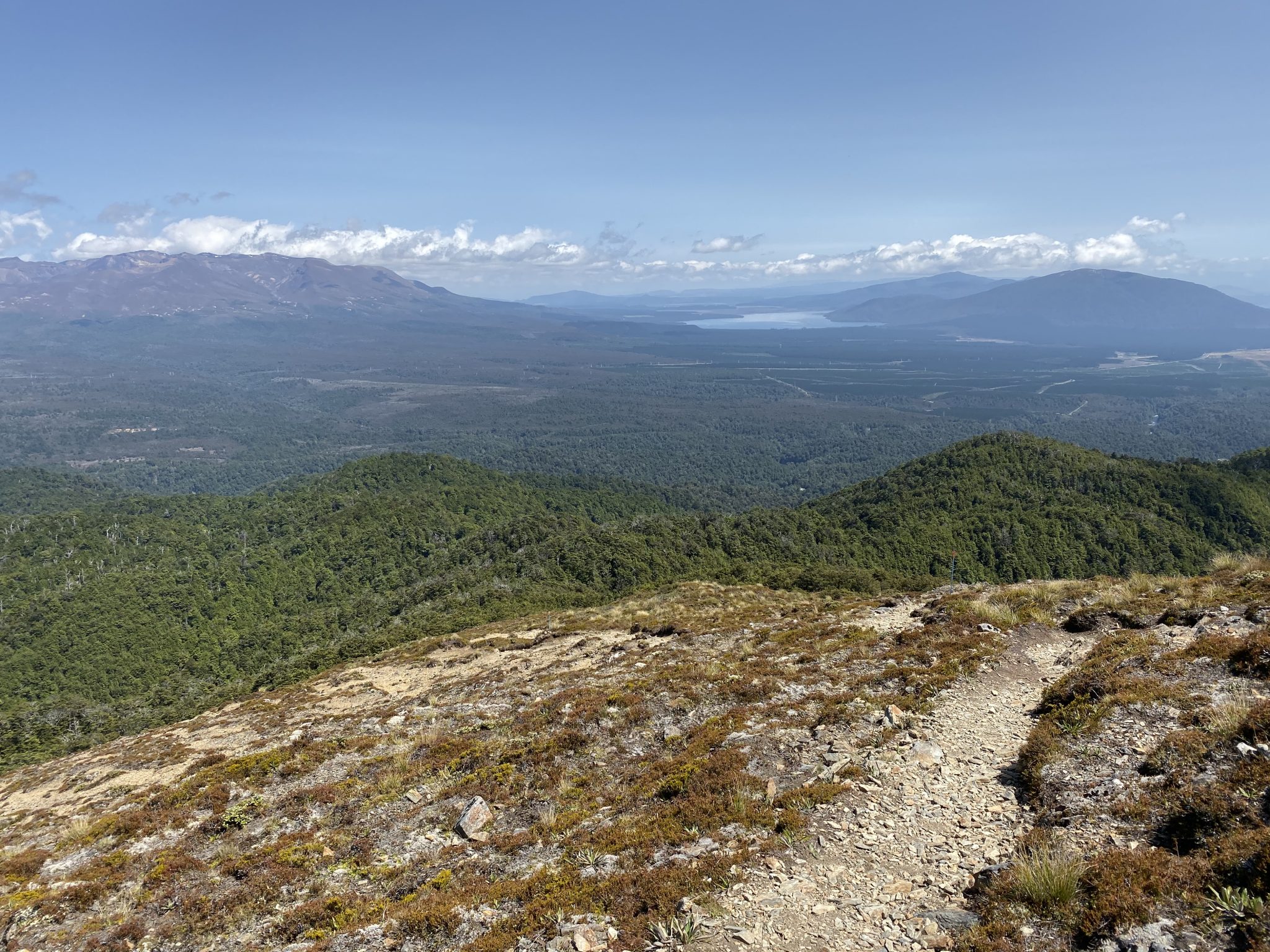 Mount Urchin Track - Tongariro National Park