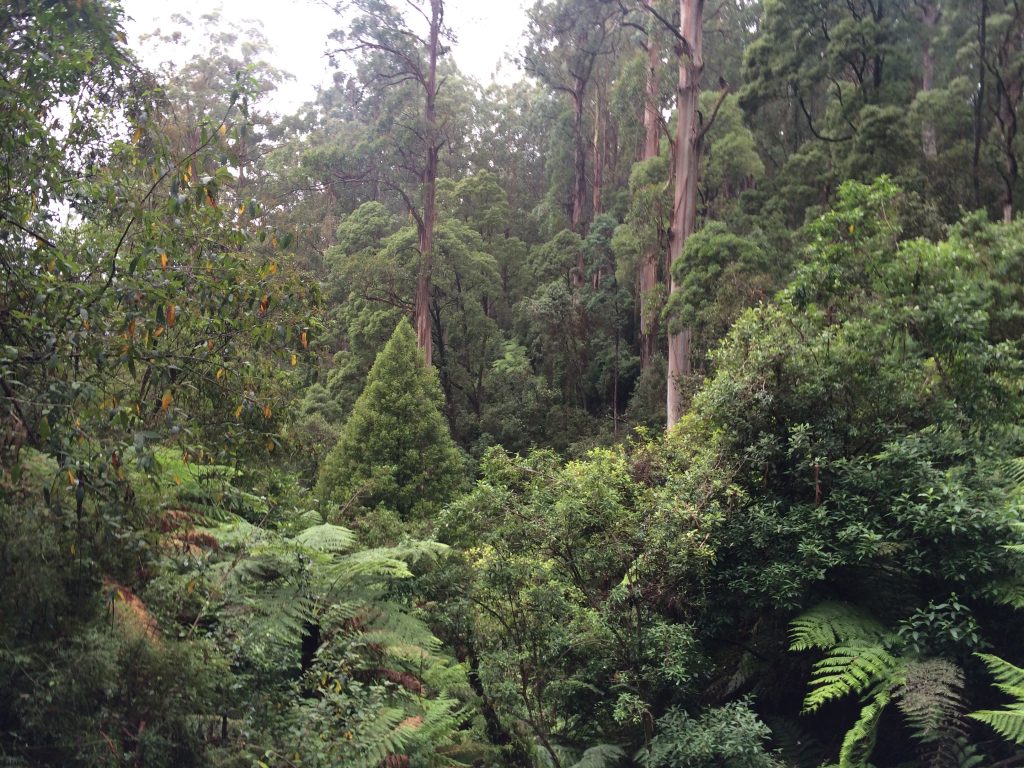 Sherbrooke Falls Walk