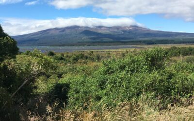 Simply Walk Into Mordor Tokaanu Lodge