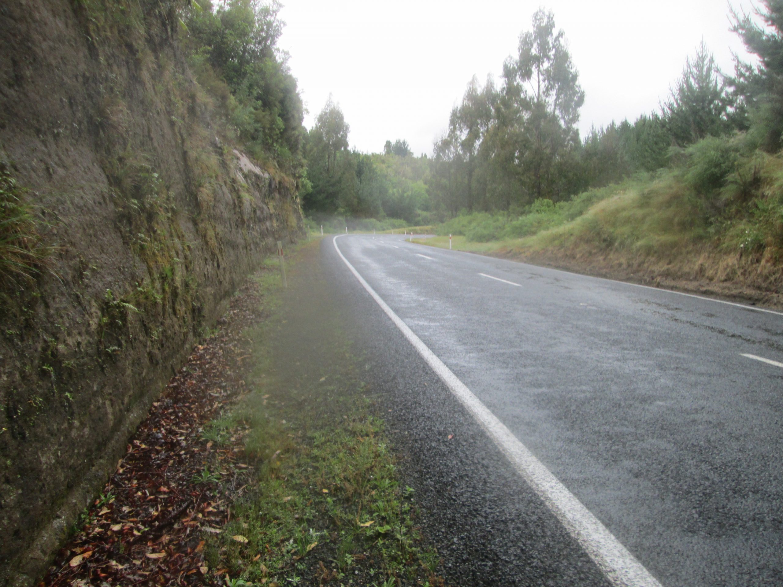 Simply Walk Into Mordor Waihaha Hut