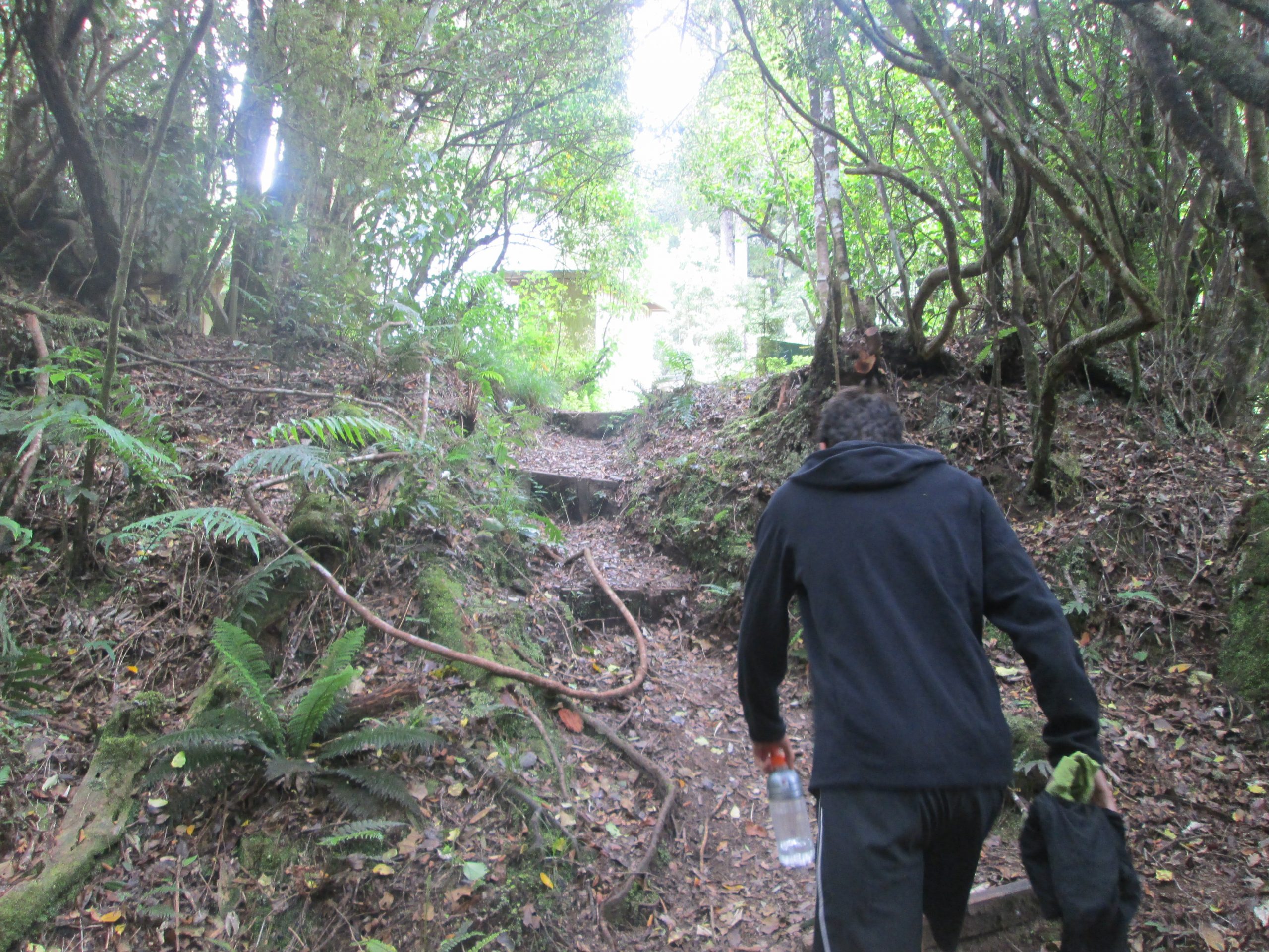 Simply Walk Into Mordor New Zealand