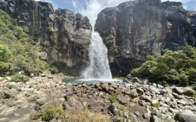 Taranaki Falls Track