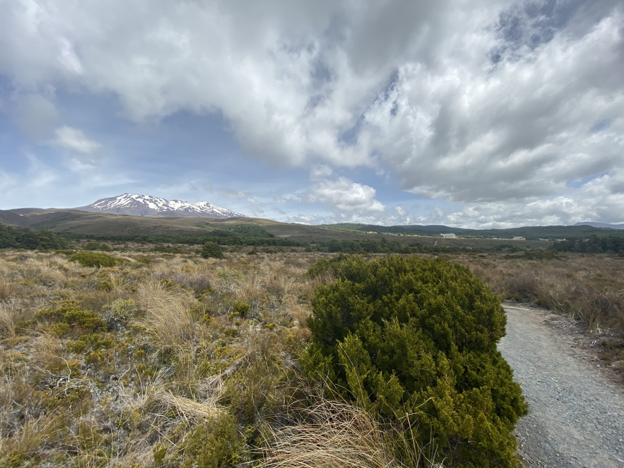 Taranaki Falls Track