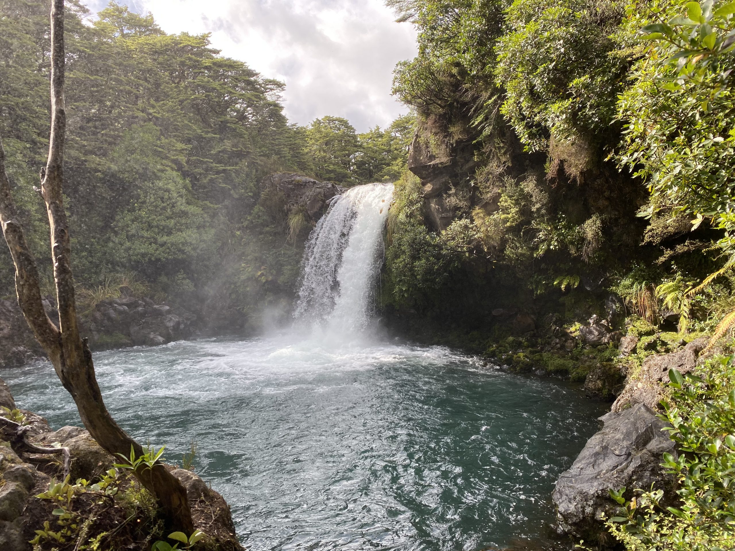 Tawhai Falls Walk