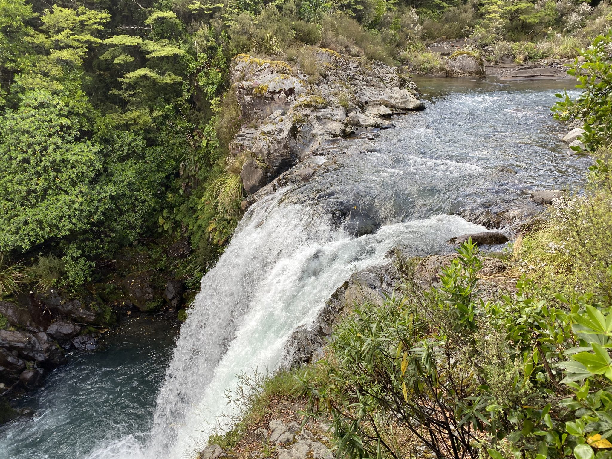 Tawhai Falls Walk