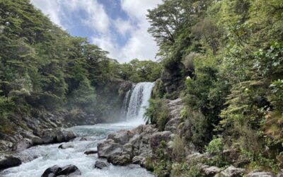 Tawhai Falls Walk