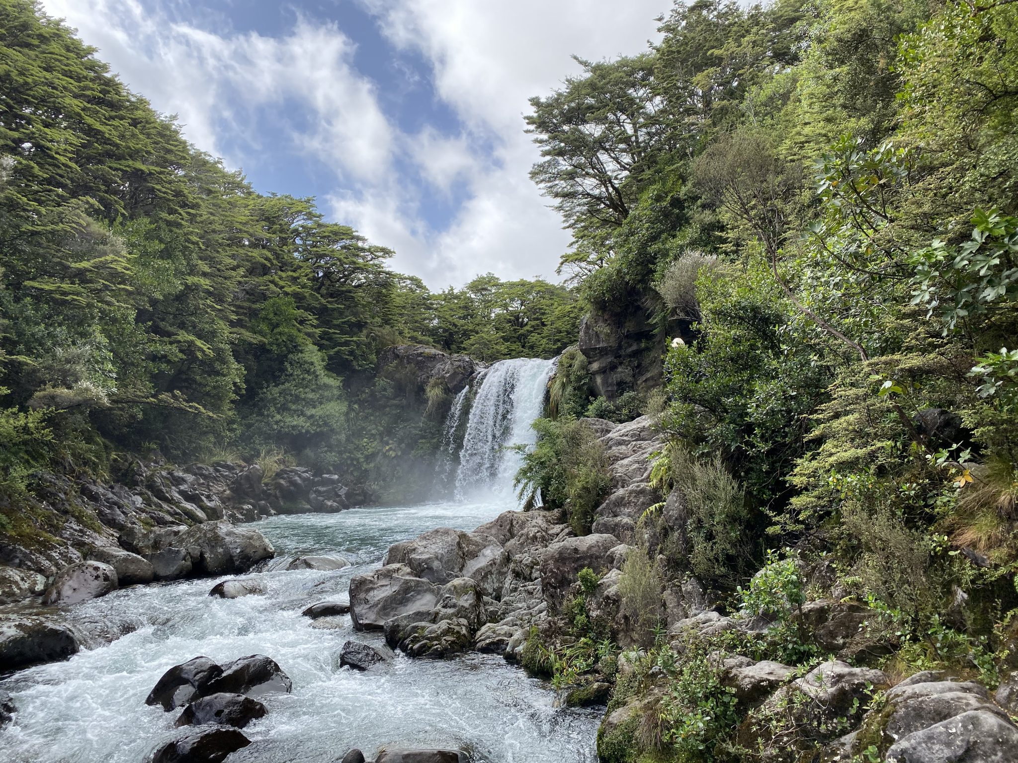 Tawhai Falls Walk