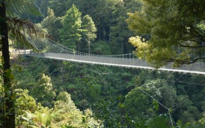 Timber Trail New Zealand