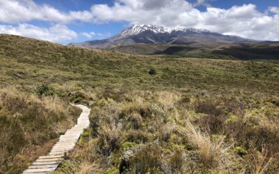 Tongariro National Park