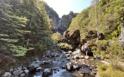 Waitonga Falls Track New Zealand