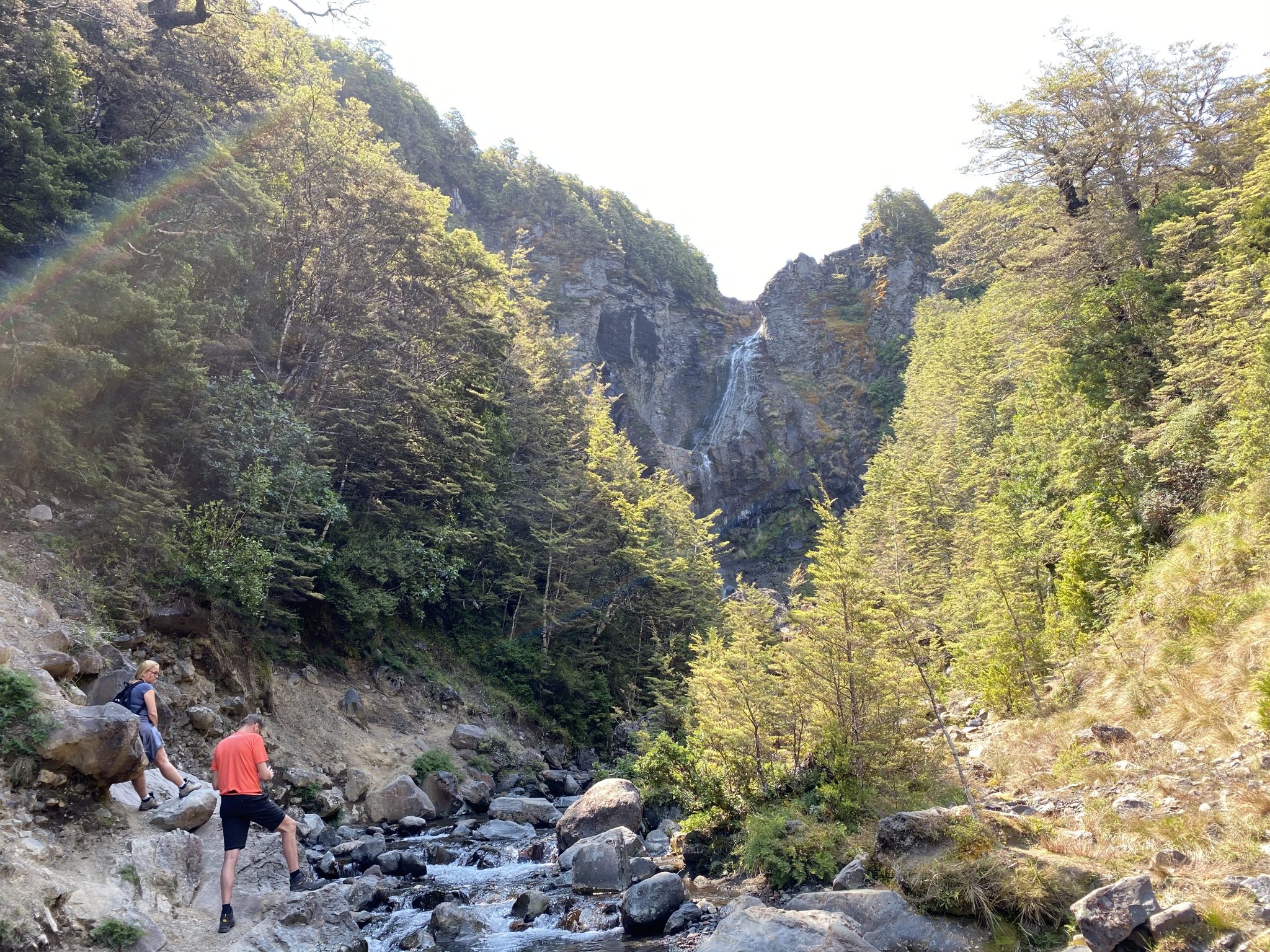 Waitong Falls Track - Tongariro National Park