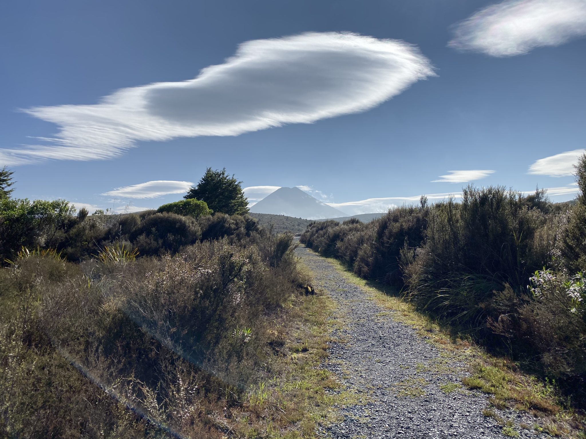 Whakapapanui Track