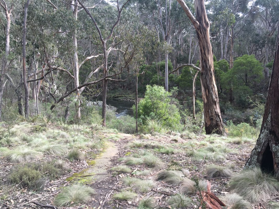 australian walking track grading system