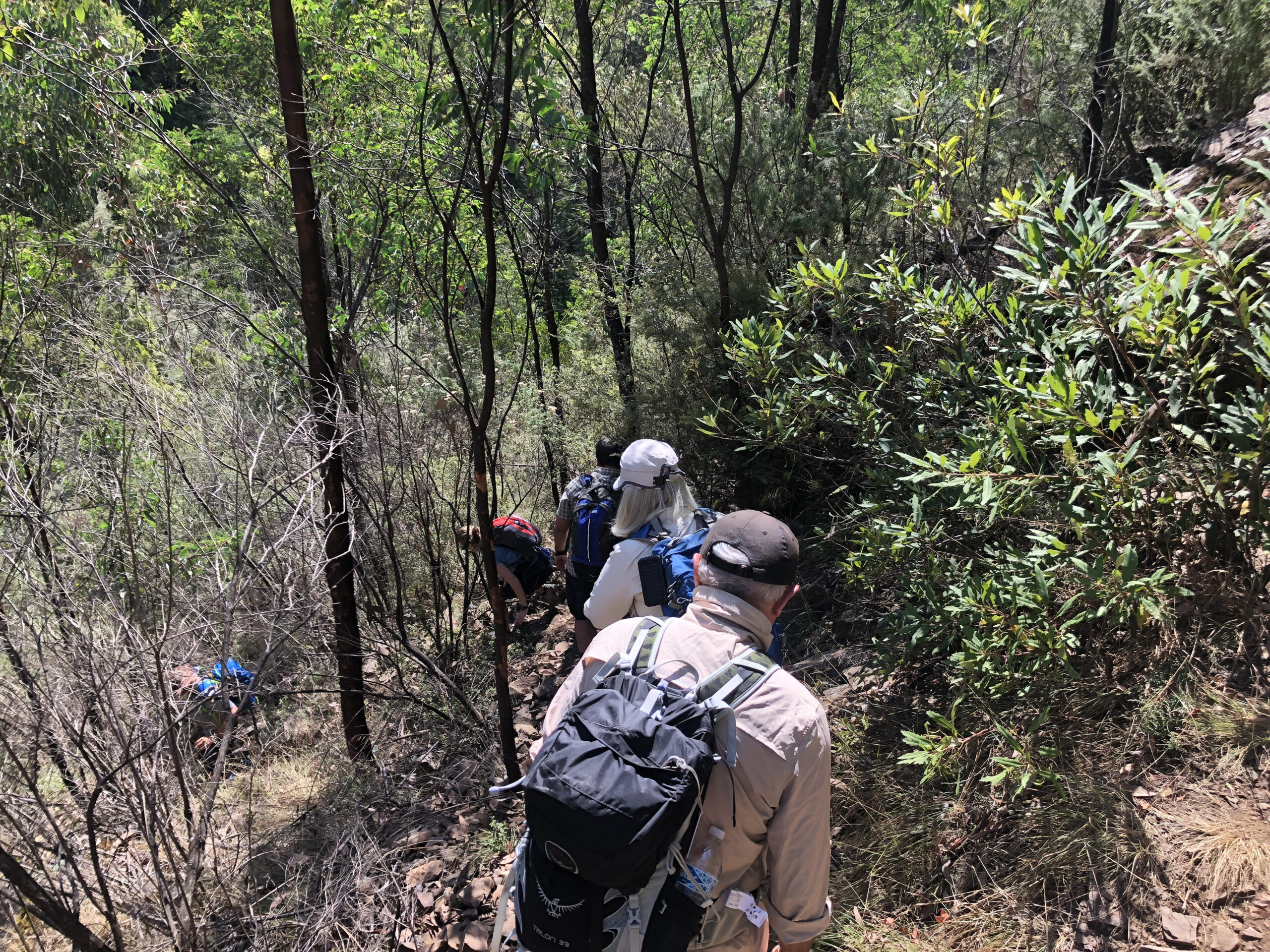 australian walking track grading system