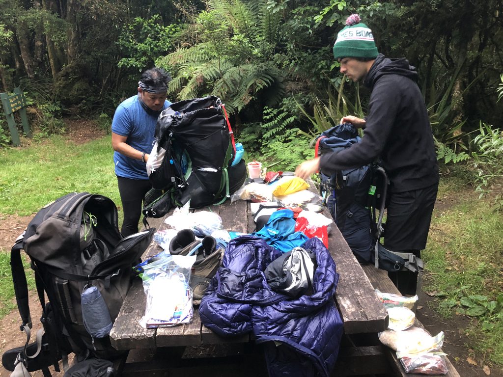 bringing food into new zealand