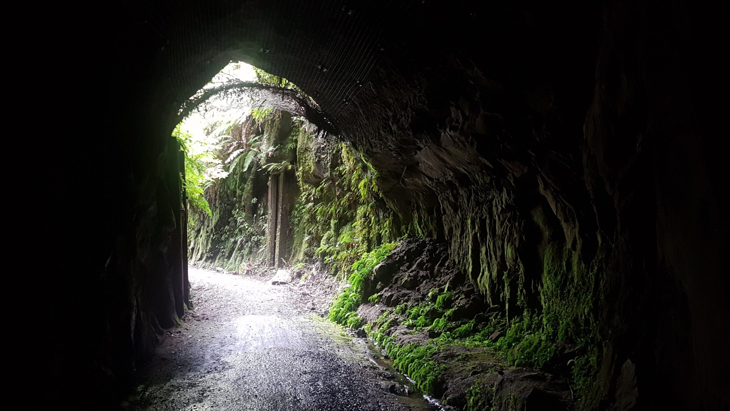 hiking in new zealand with The Hiking Society