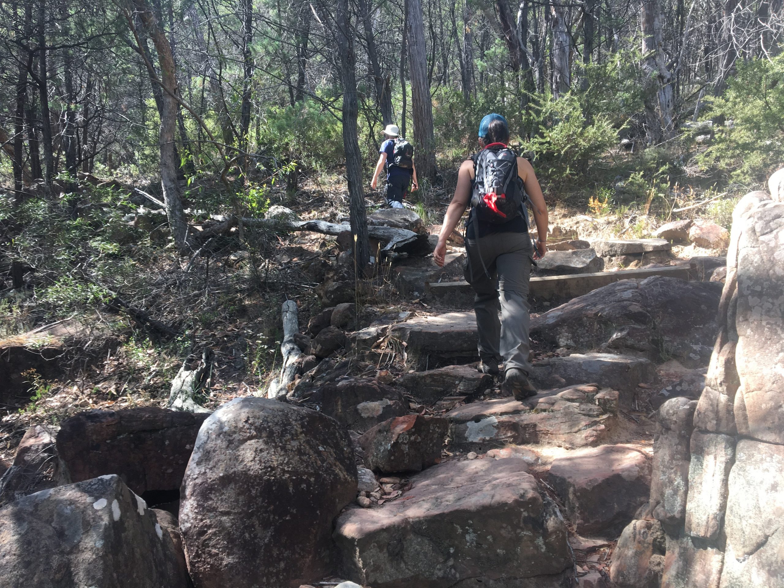 boronia peak grampians