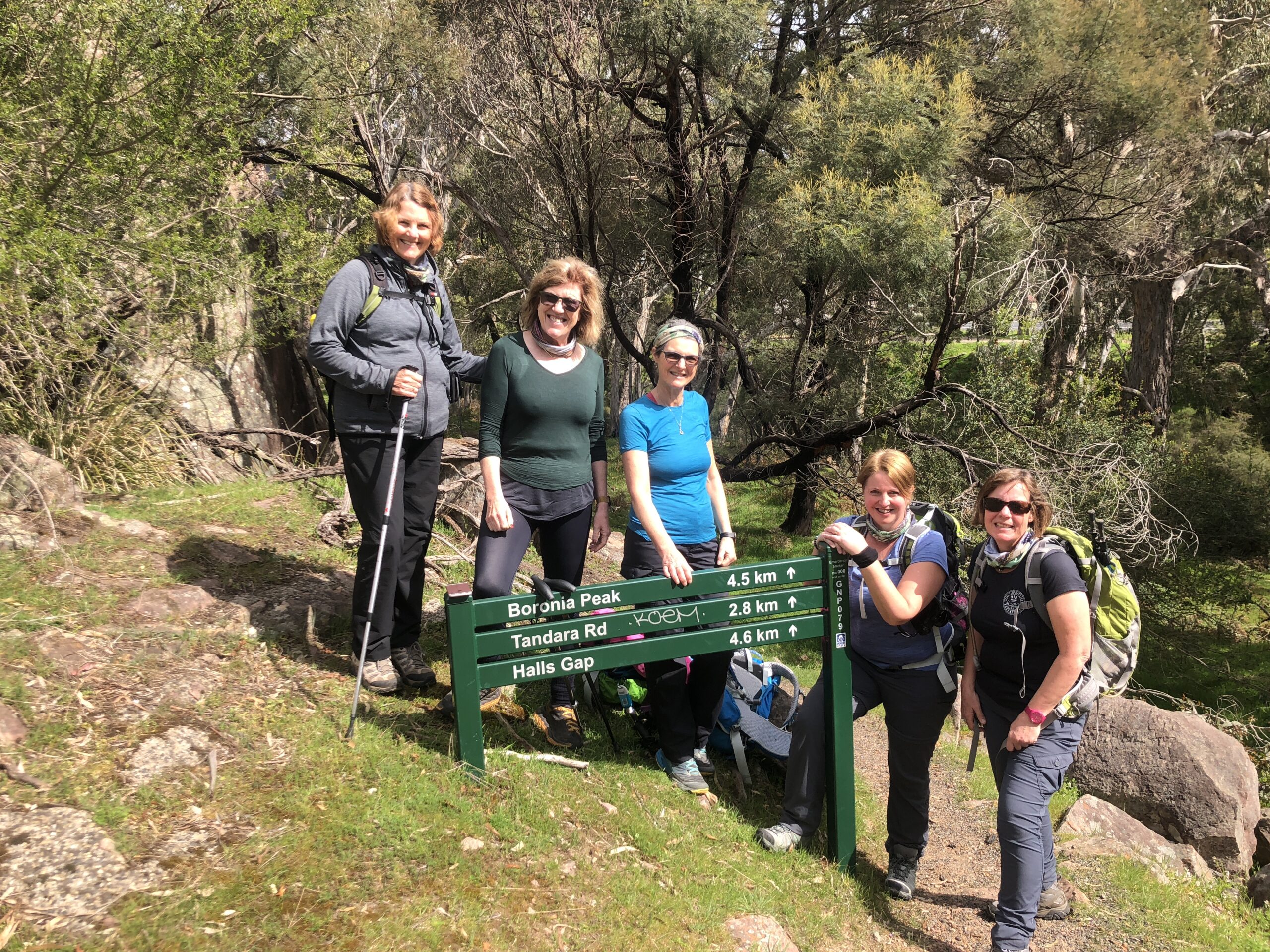 boronia peak grampians