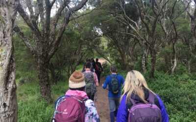 Bushrangers Bay and Cape Schanck