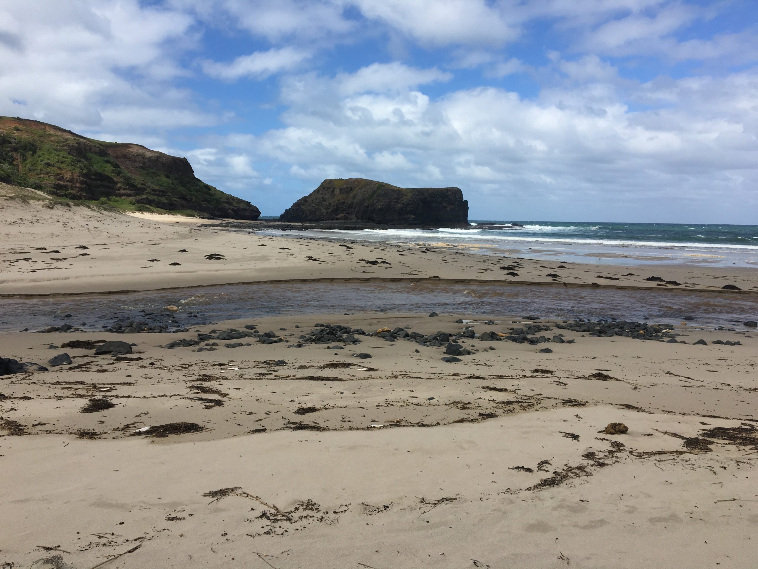 Bushrangers Bay and Cape Schanck