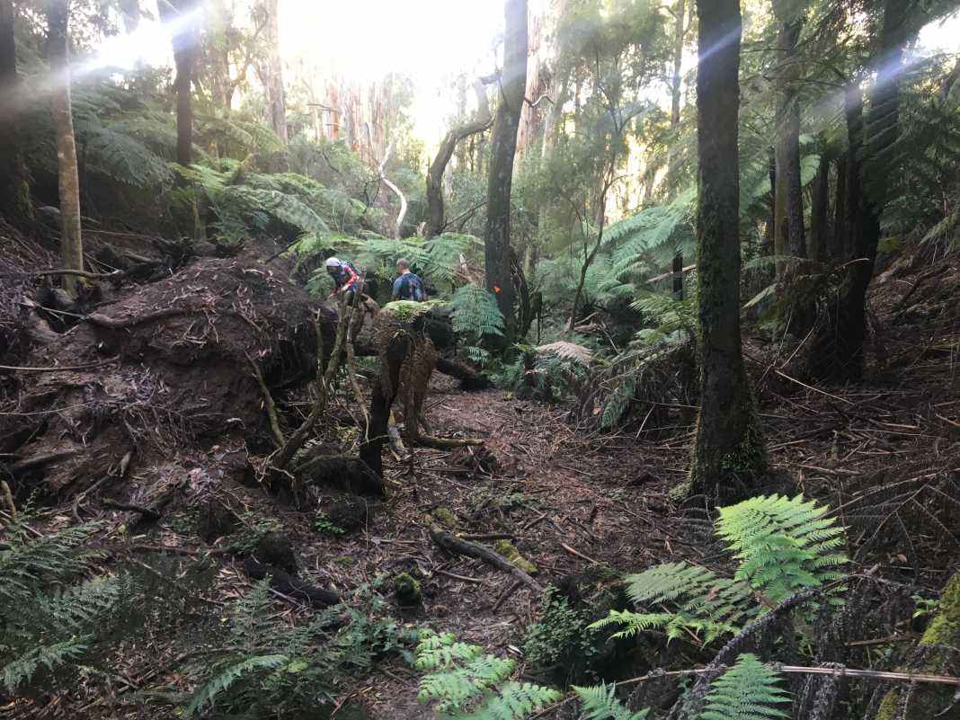 Four Brothers Rocks Track