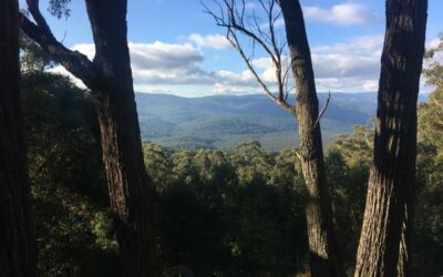 Four Brothers Rocks Track