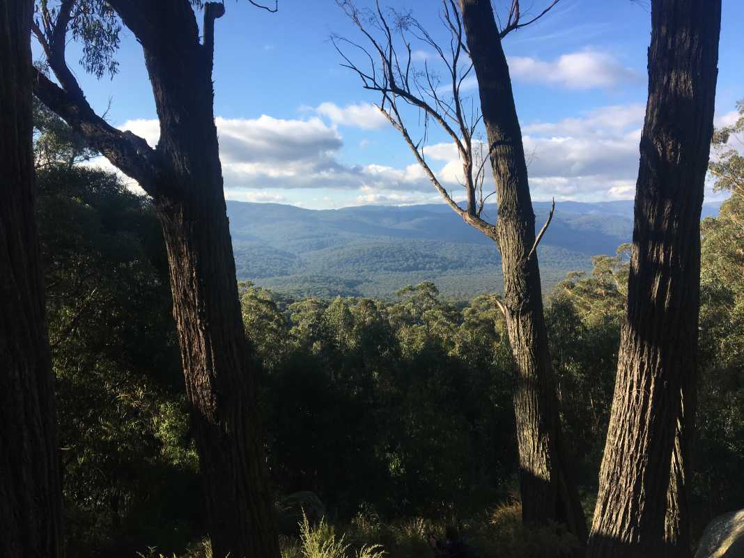 Four Brothers Rocks Track