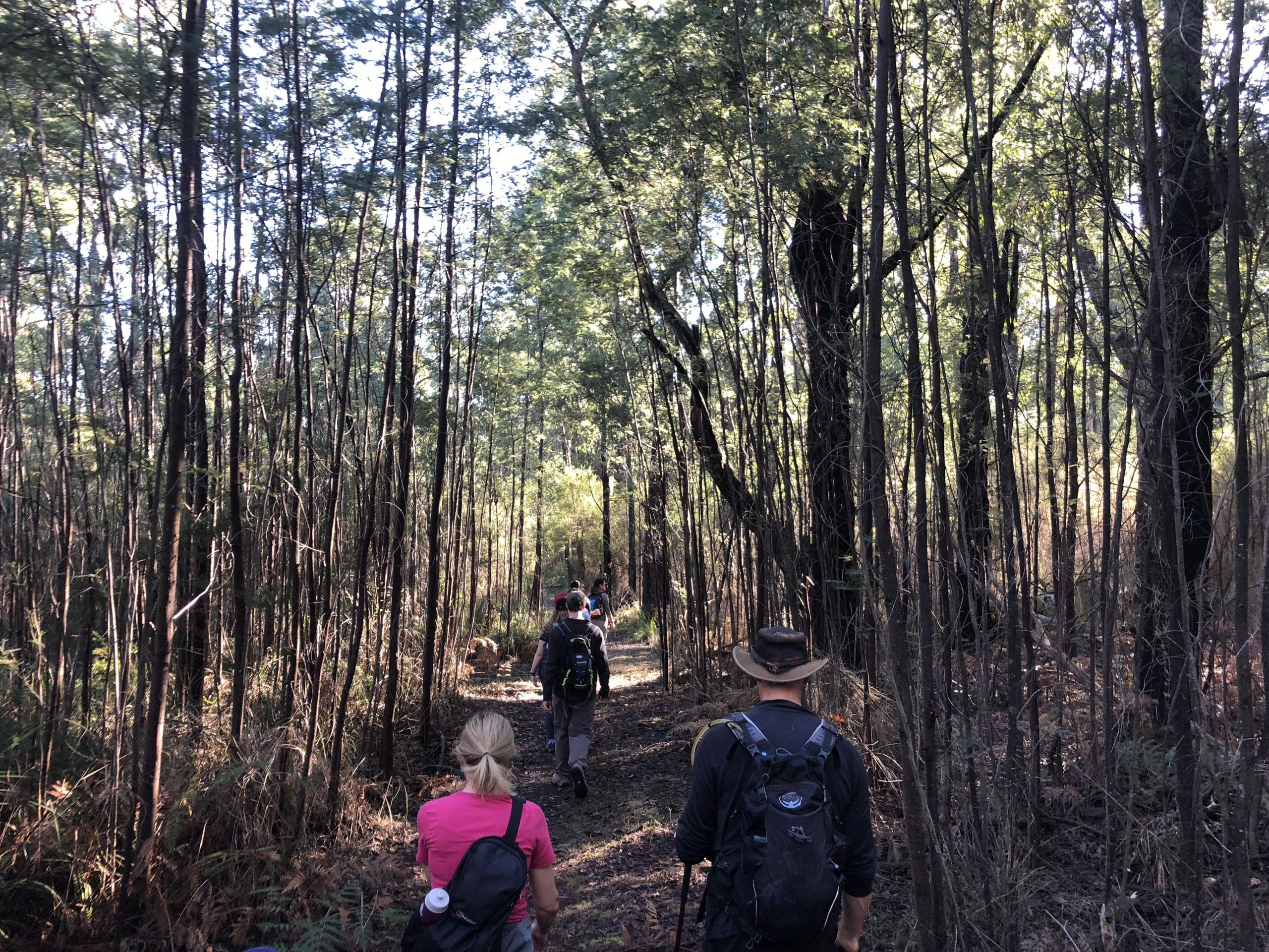 freemans mill walking track