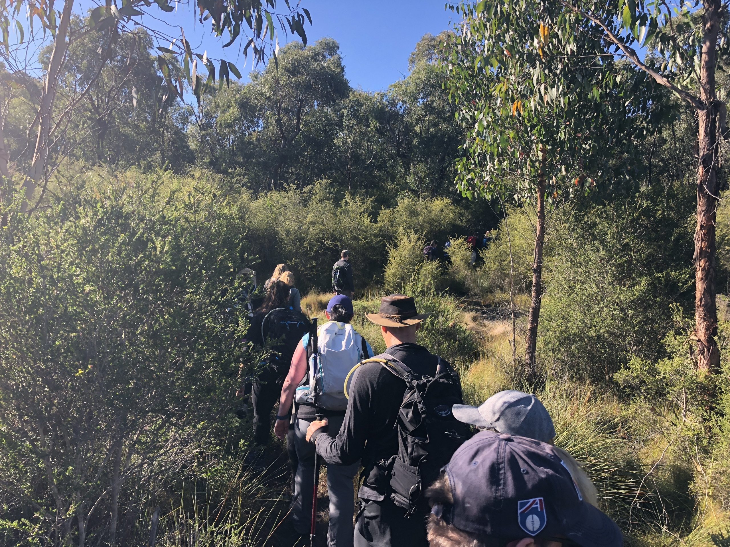 freemans mill walking track