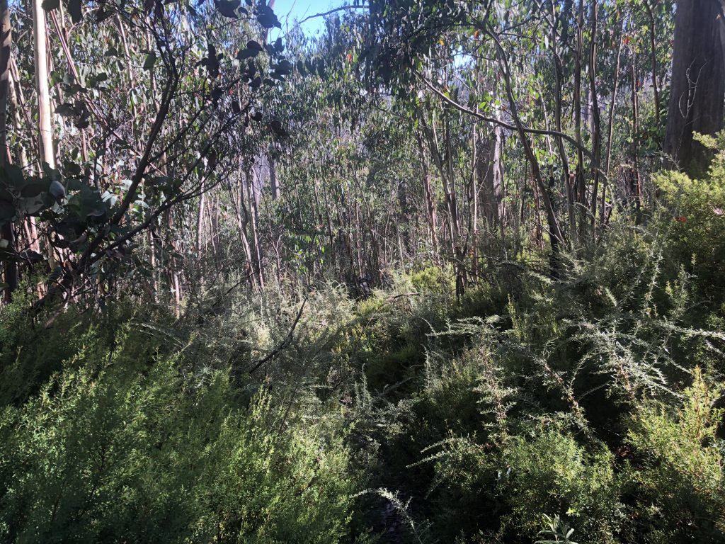 Keppel Hut Trail