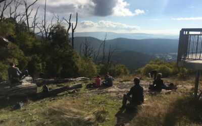 Keppel Lookout Steavenson Falls