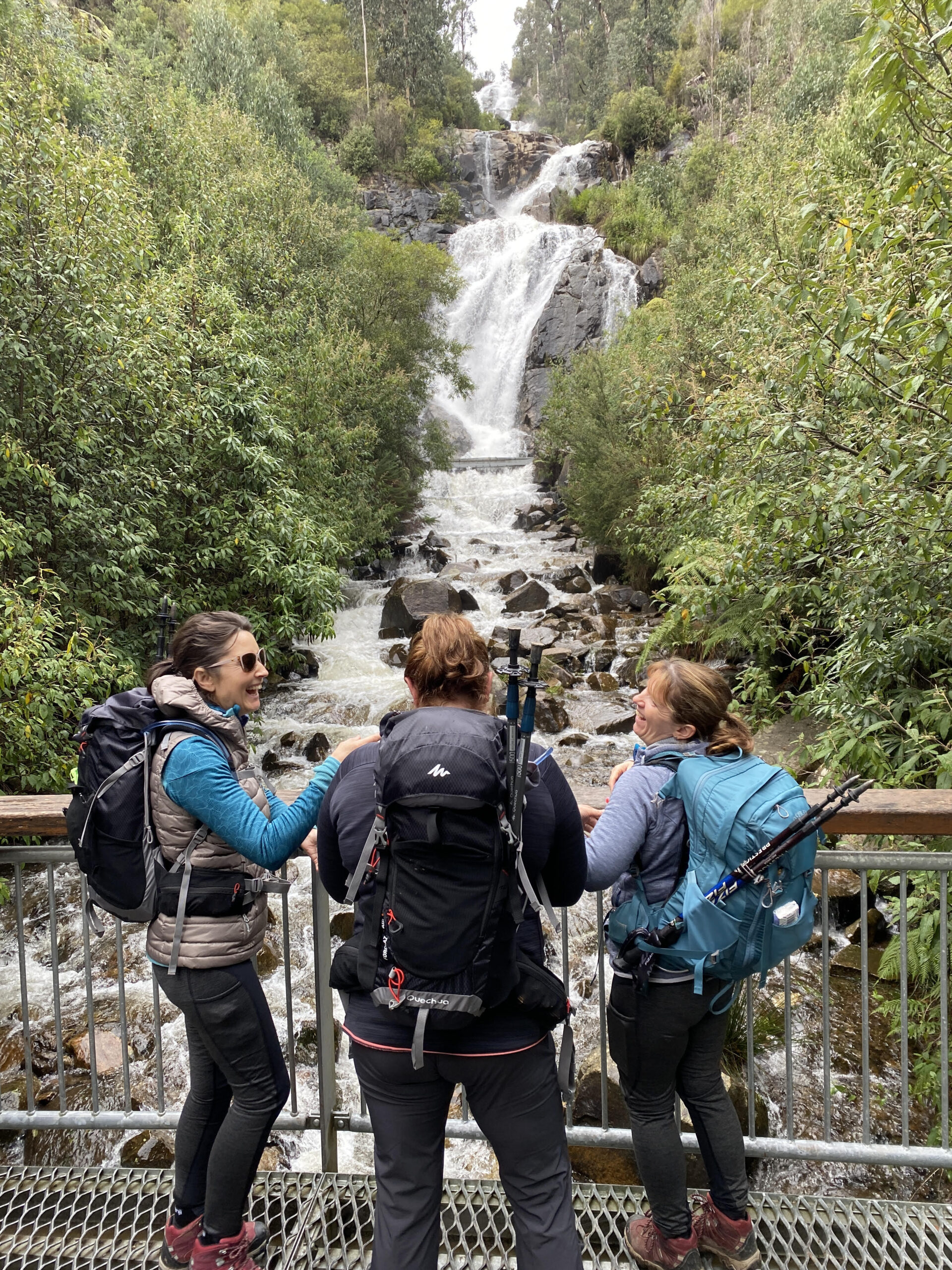 Keppel Lookout Steavenson Falls