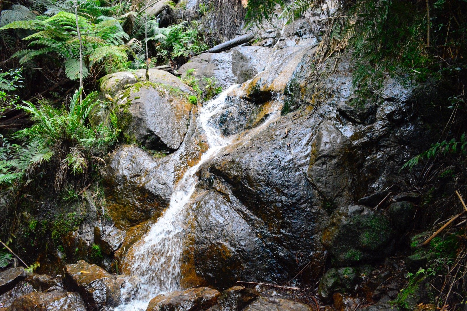 la la falls walk hiking in warburton