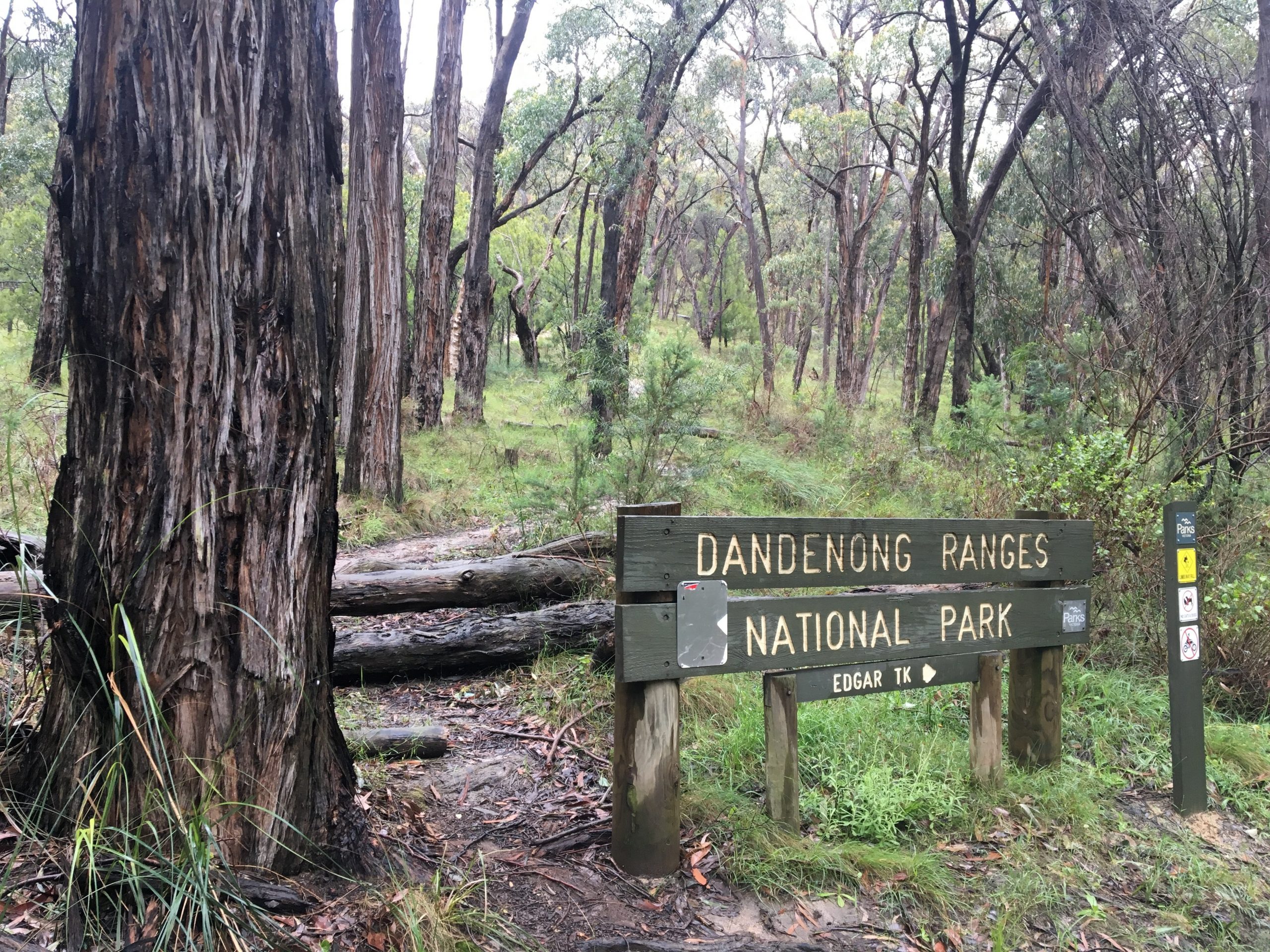 Mount Dandenong Trail