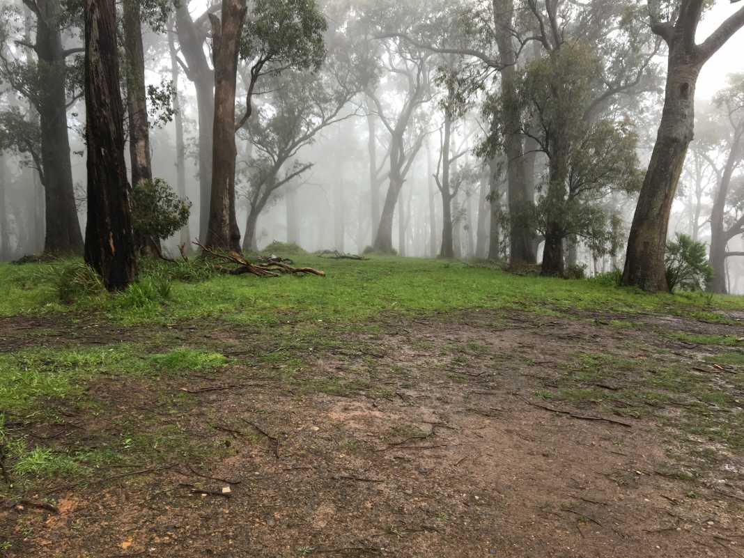 Mount Dandenong Trail