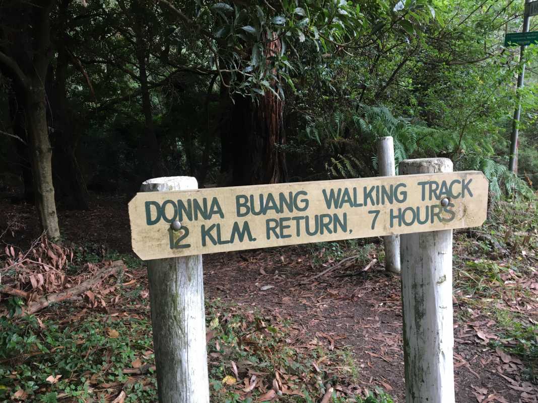 mount donna buang