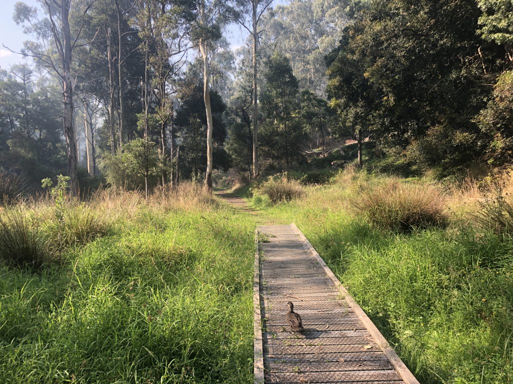 mount little joe loop