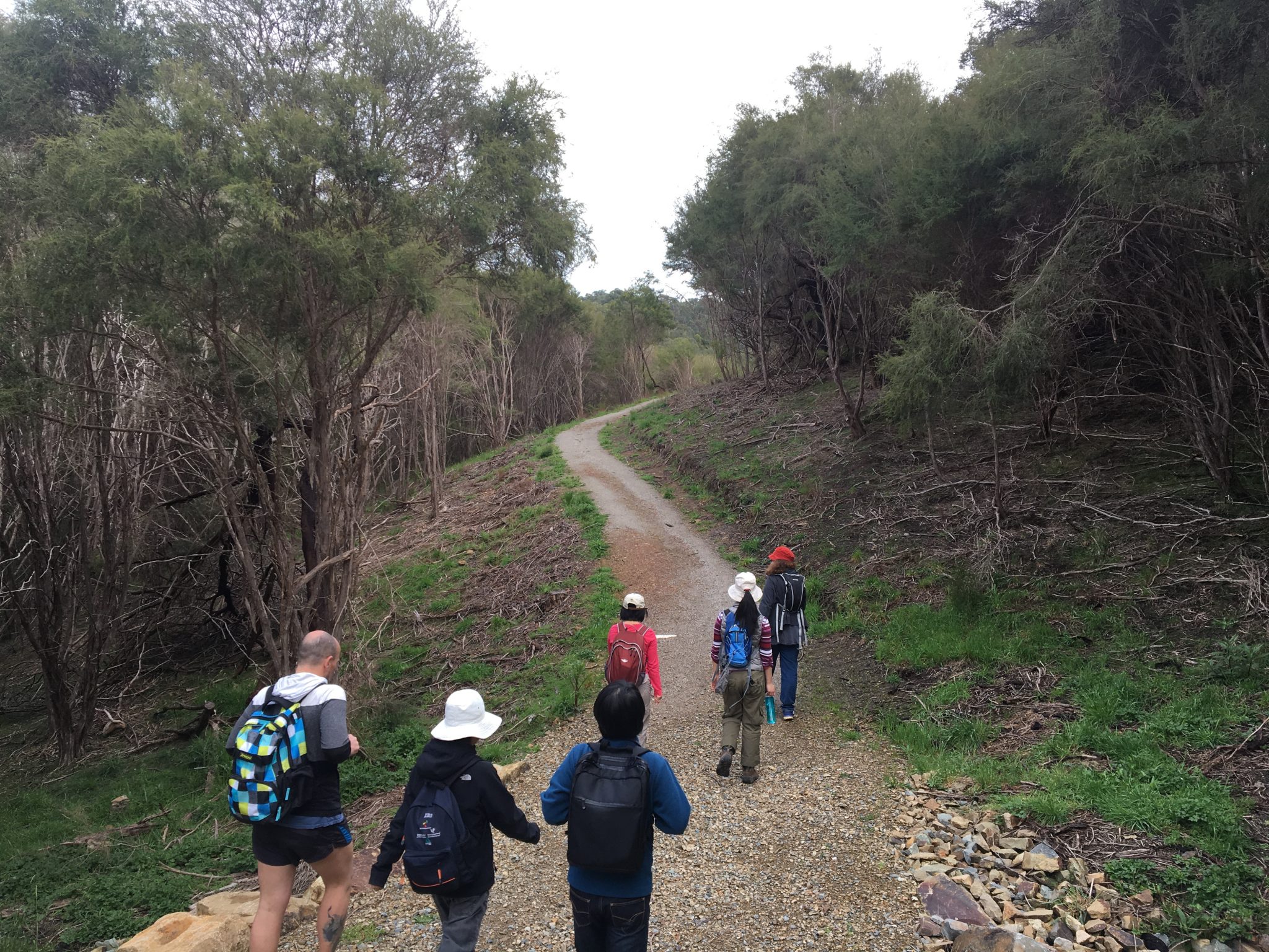 Mount Lofty Circuit