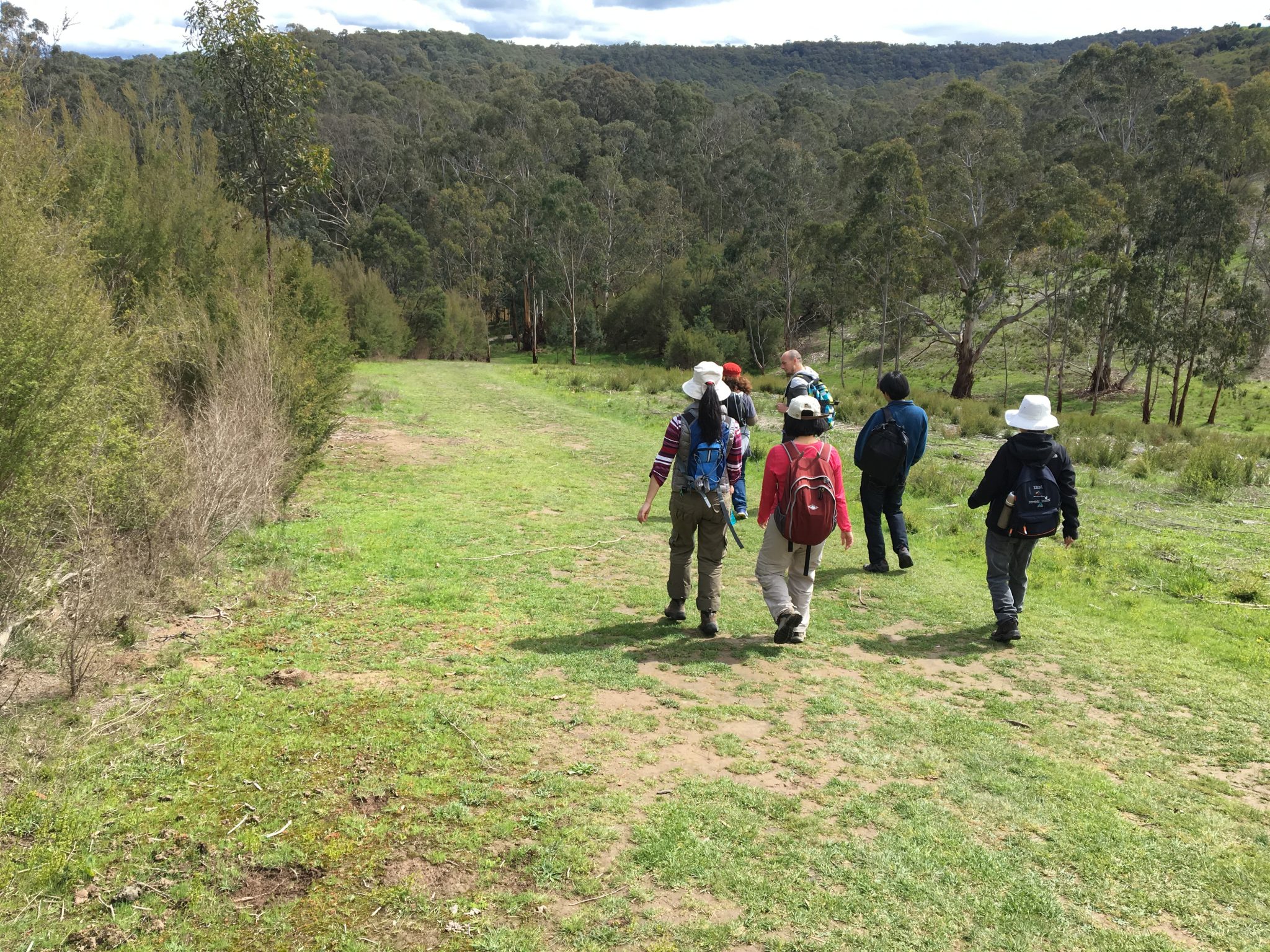 Mount Lofty Circuit