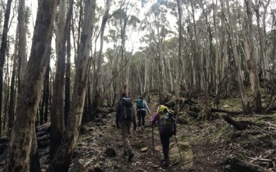 Mount Macedon Walking Trail