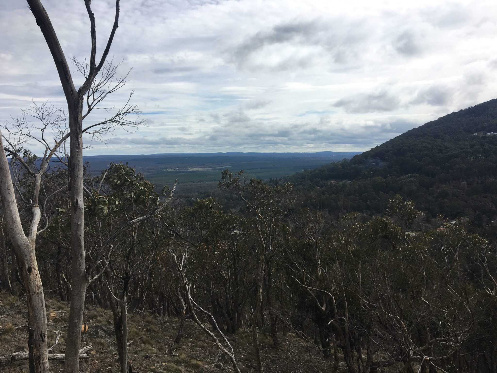 Mount Macedon Walking Trail