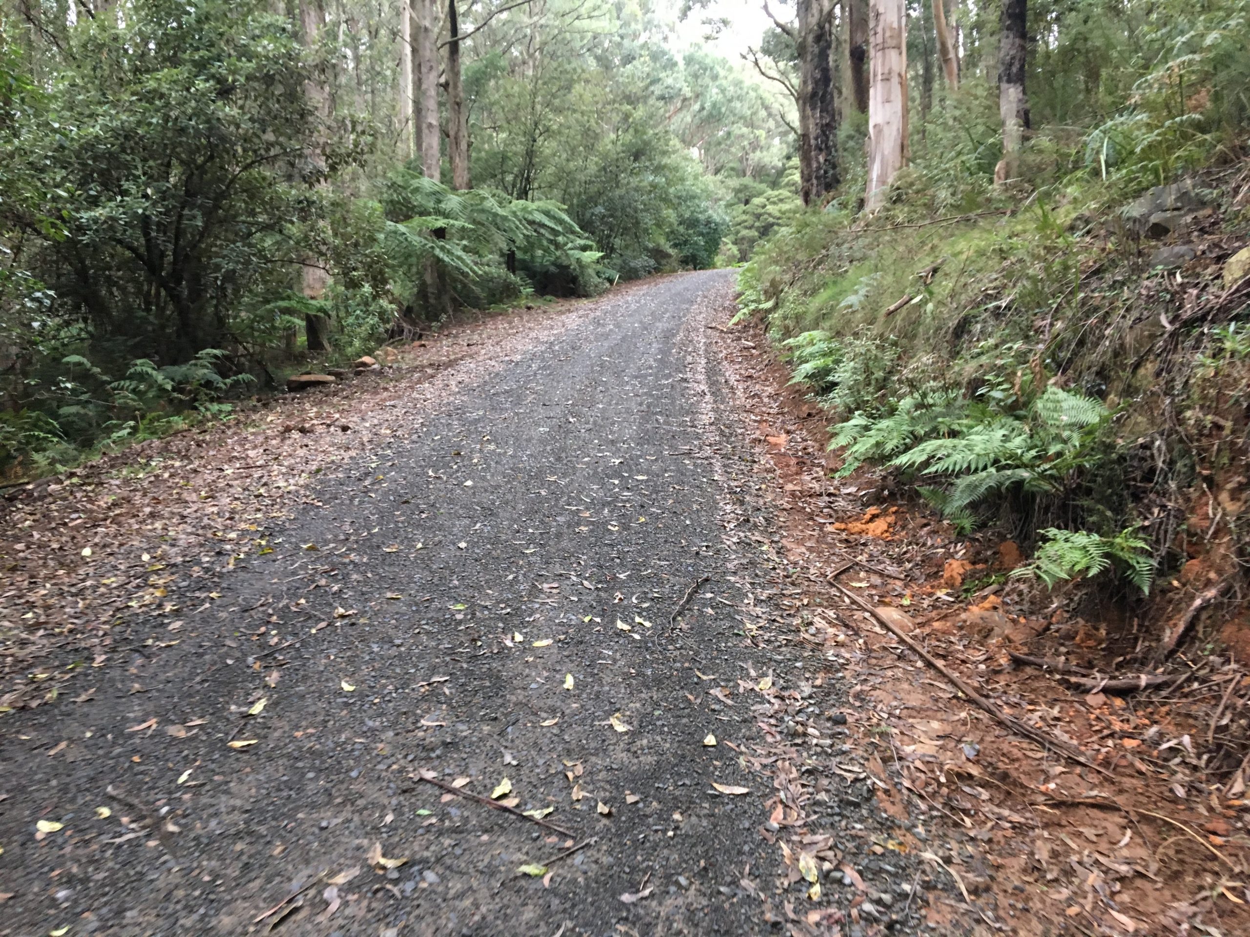 Mount Riddell Summit