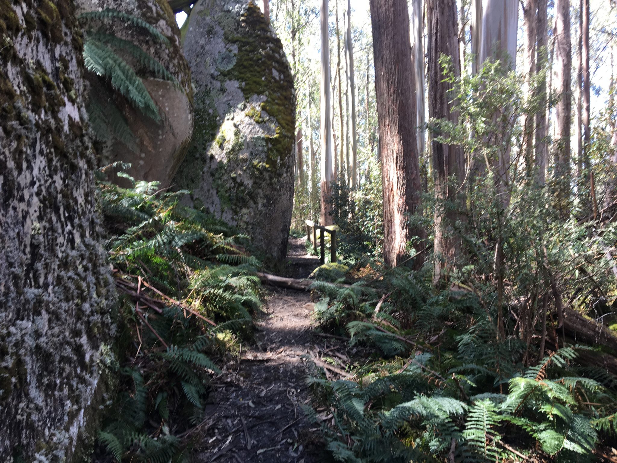 Mushroom Rocks Trail