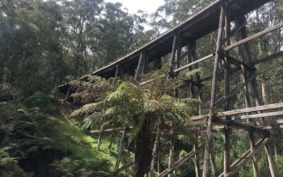 Noojee Trestle Bridge