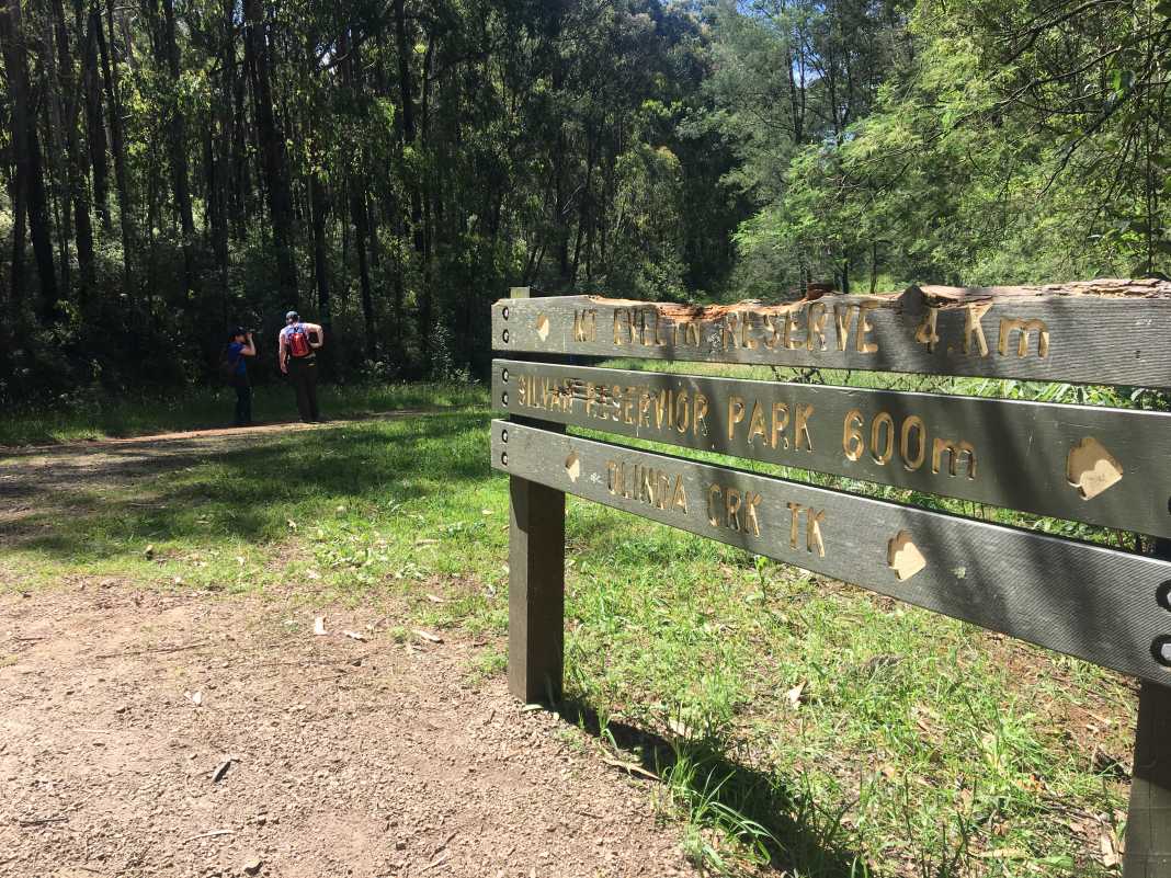 Olinda Creek Walking Track