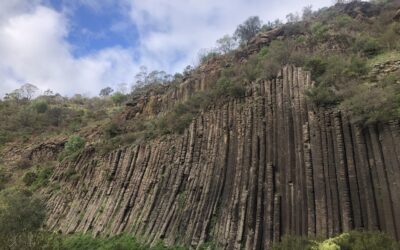 organ pipes trail