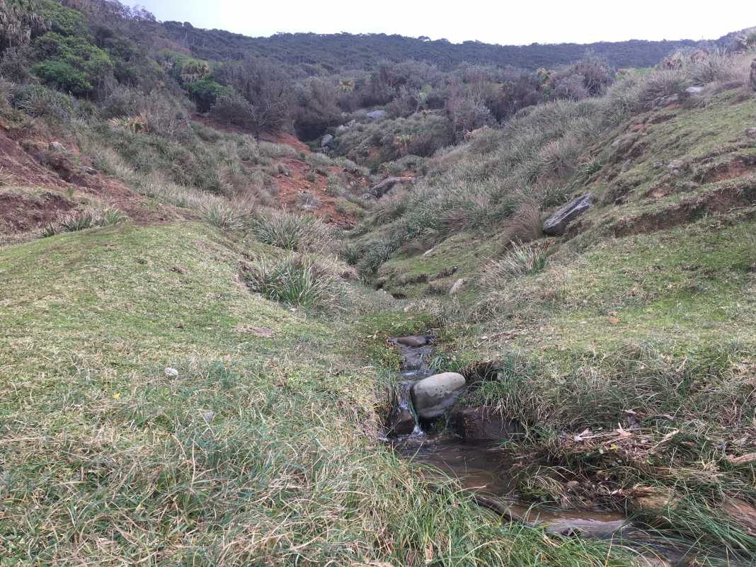 Otford Coastal Track