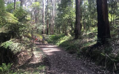 Silvan Reservoir Picnic Ground